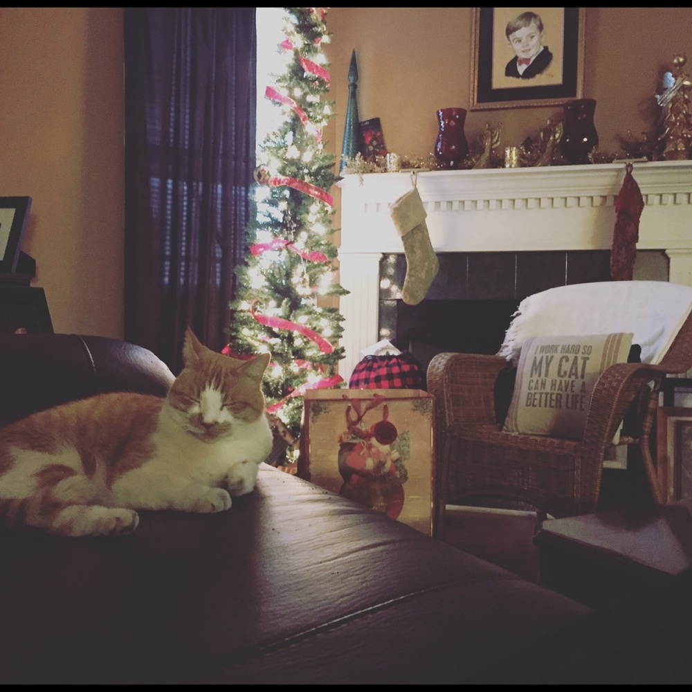 MERRY CHRISTMAS 🎄🙏🏻🎄🙏🏻