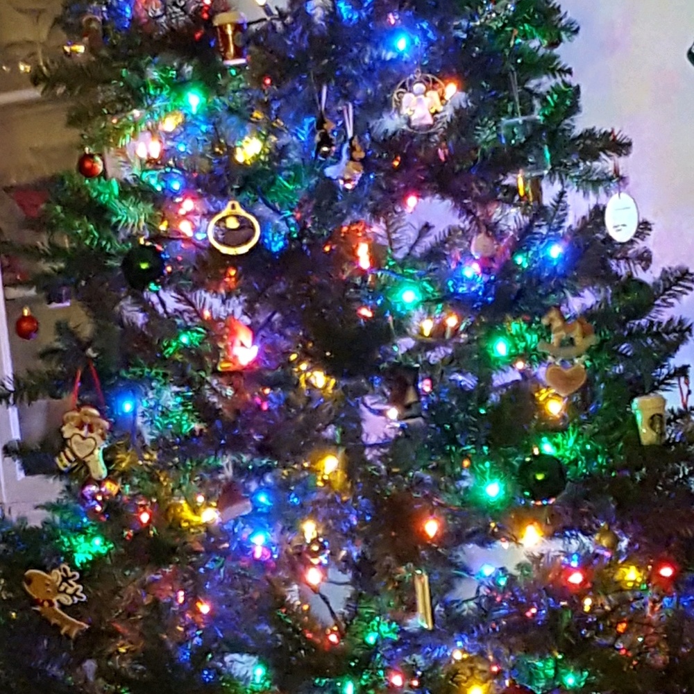 Meet your Posher, Schawna