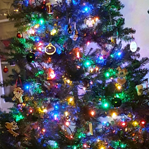 Meet your Posher, Schawna - Picture 1 of 1