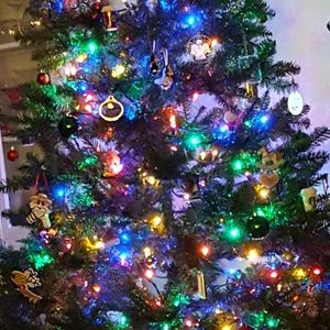 Meet your Posher, Schawna