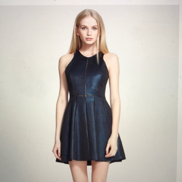 Parker 'Clara' Metallic Fit & Flare Party Dress