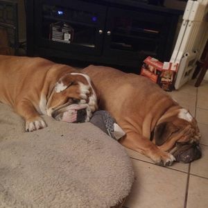 Meet your Posher, Becky