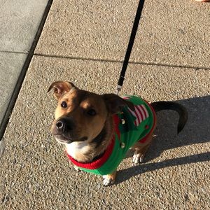 Meet your Posher, Suzanne