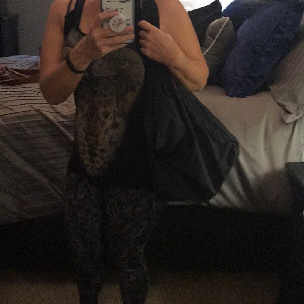 Amazing gym bag! Holds a lot.