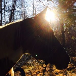 Meet your Posher, Katie