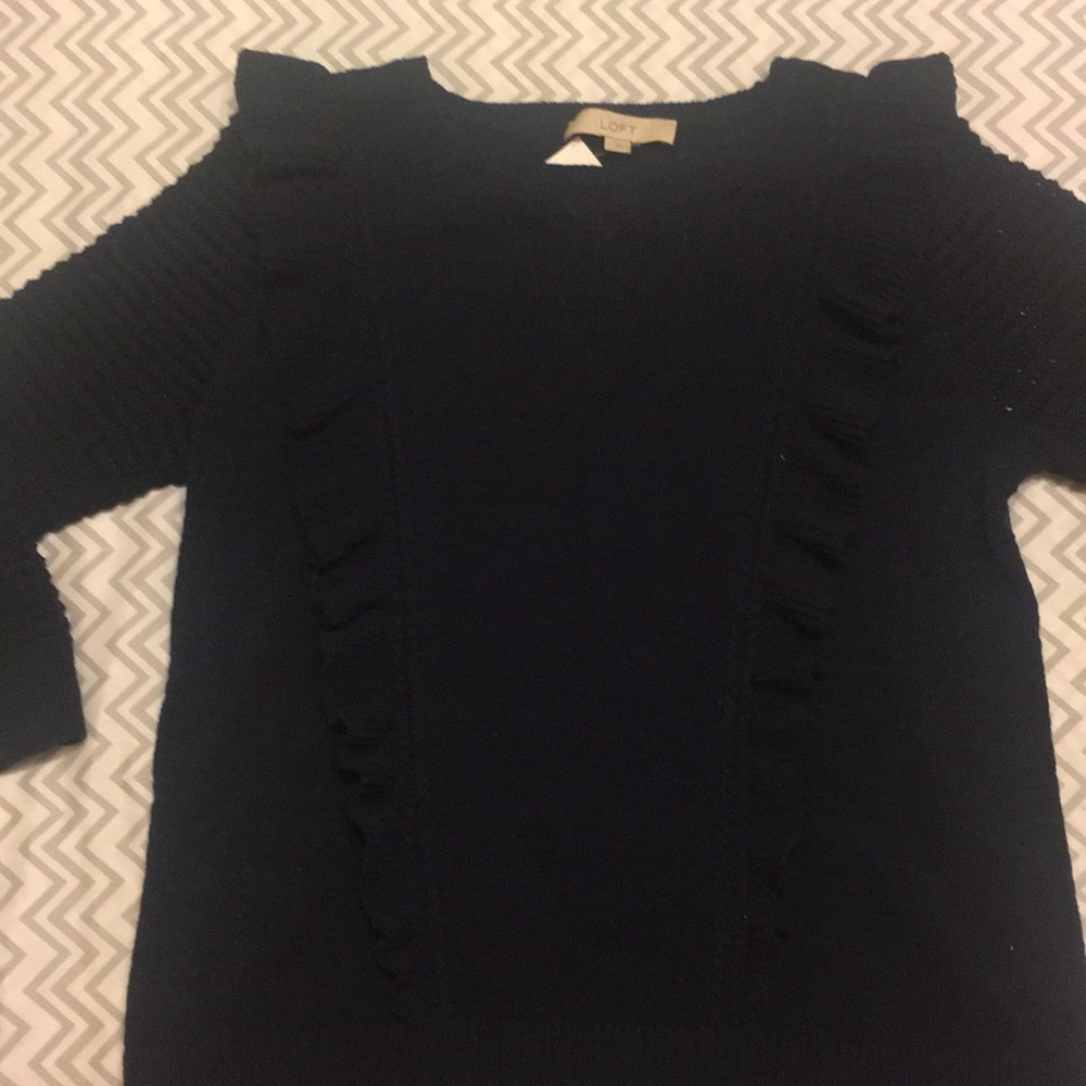 NWT Loft Sweater