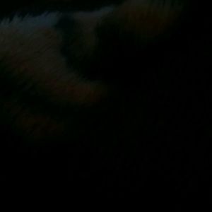 Meet your Posher, Sharalyn