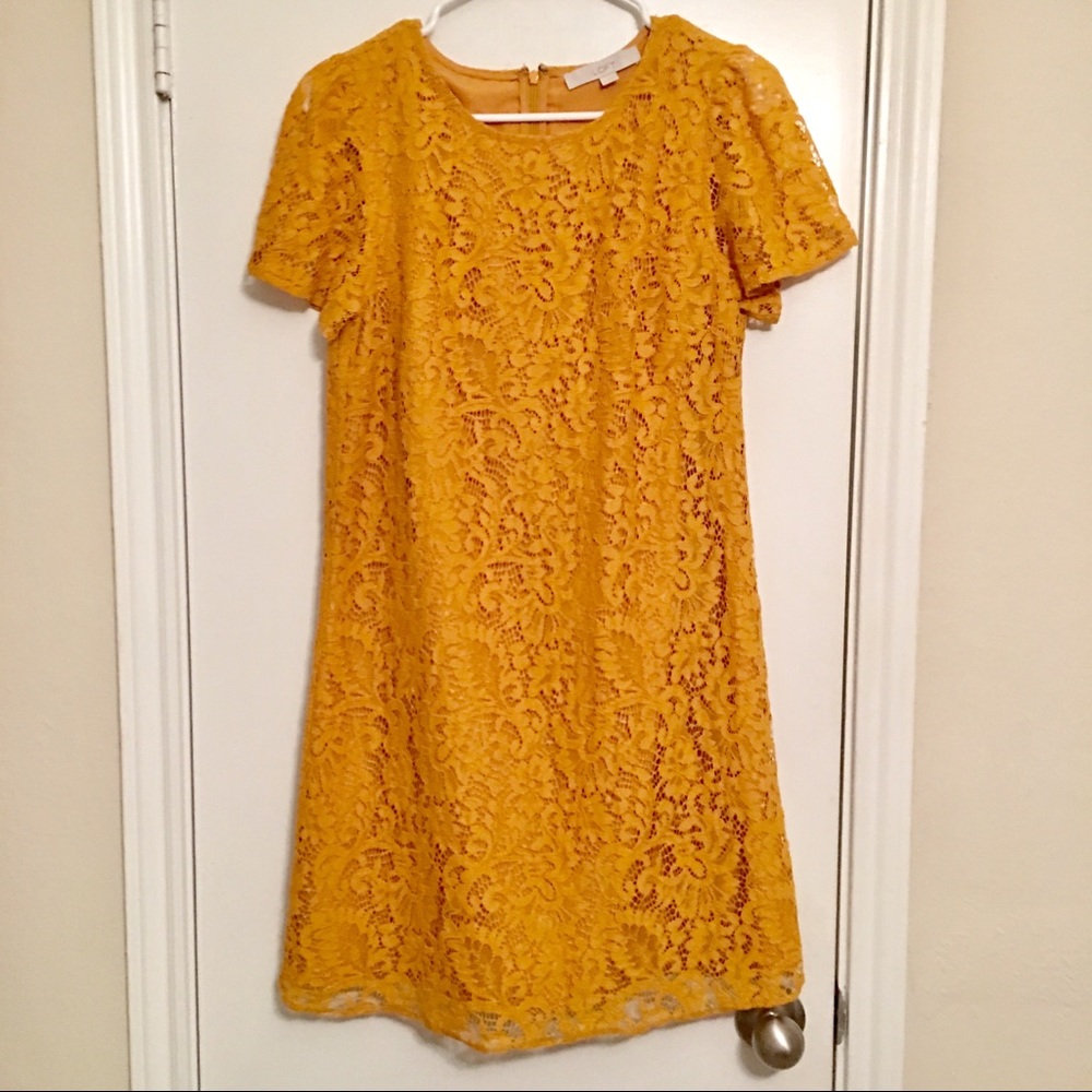 Gorgeous mustard LOFT lace dress