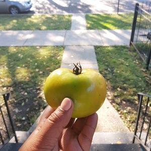 Meet your Posher, Geneva