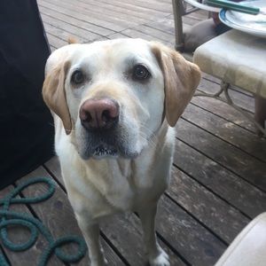 Meet your Posher, Mike