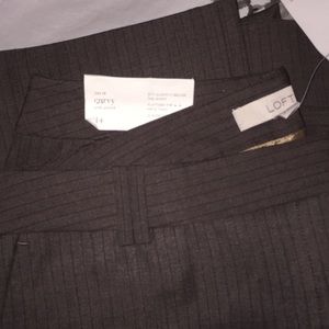 FLASH SALE! LOFT Julie Curvy Brown Striped Pants