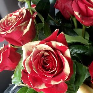 Meet your Posher, Chelsea