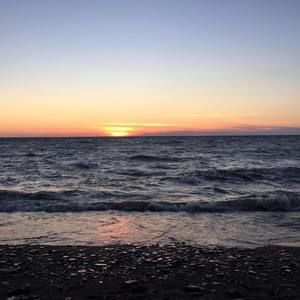 Meet your Posher, Annie