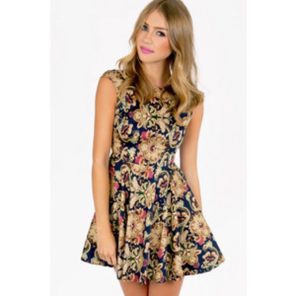 Tobi | Skater Dress
