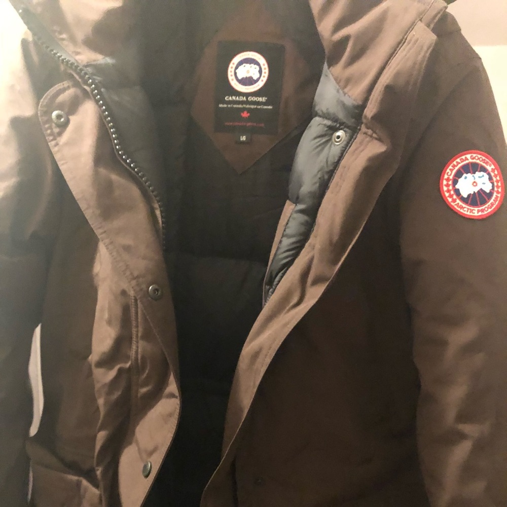 Size large brown Canada goose