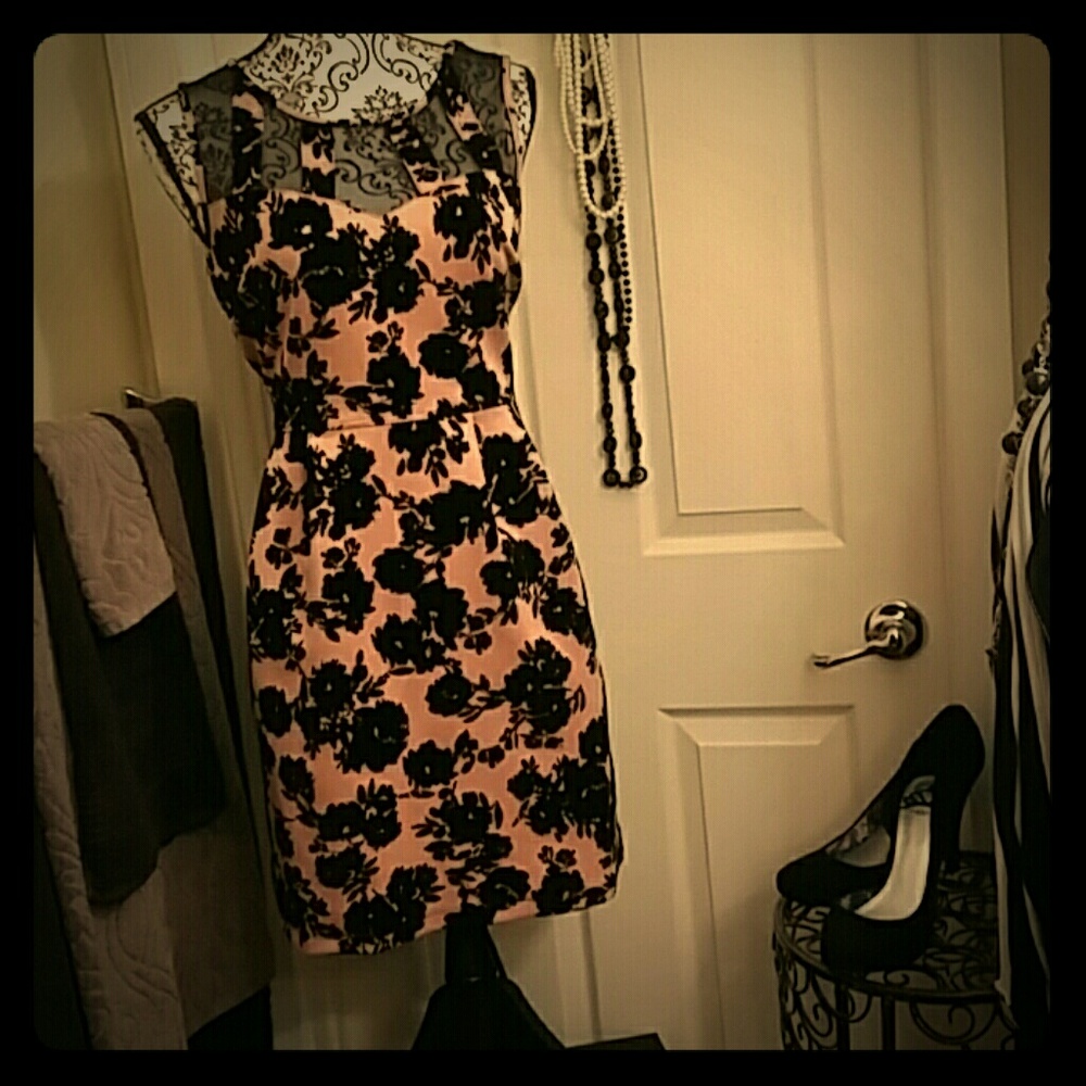 NWT Cute blush and black, floral dress