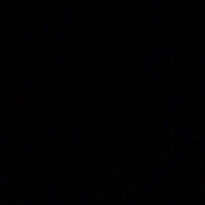 Meet your Posher, Joey