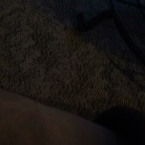 Meet your Posher, Izzy