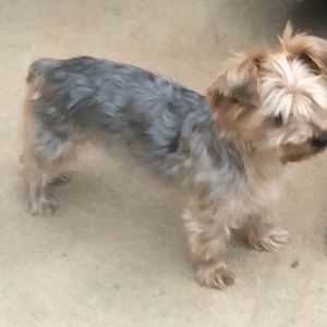 Meet your Posher, Taylor