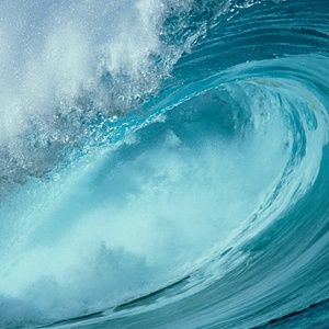 Meet your Posher, Wilburt