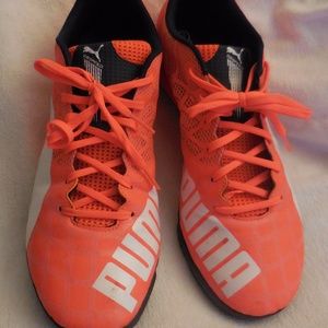 Puma-NO LONGER FOR SALE