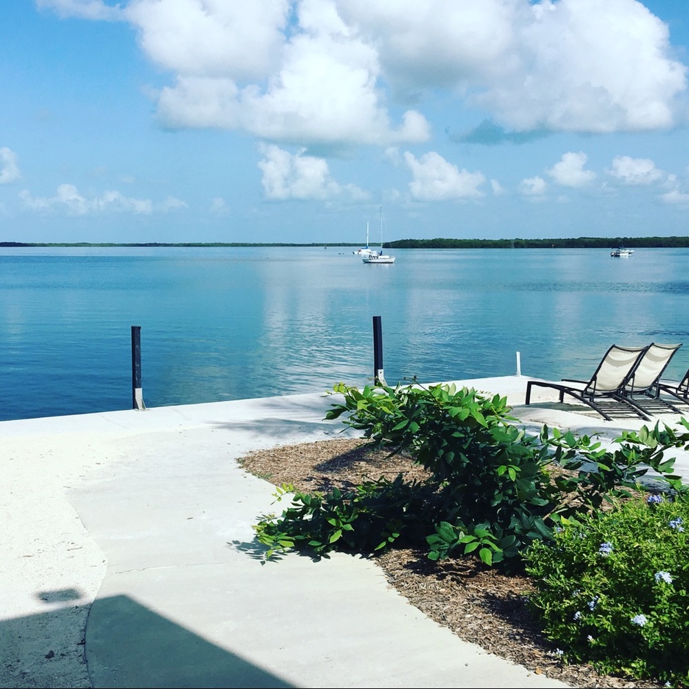 Meet your Posher, Ray