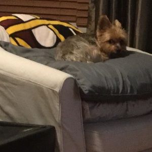 Meet your Posher, Tara