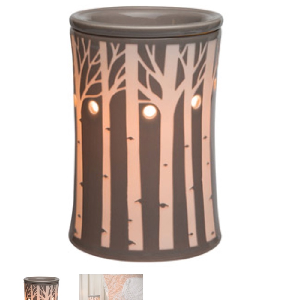 Scentsy Wax Warmer