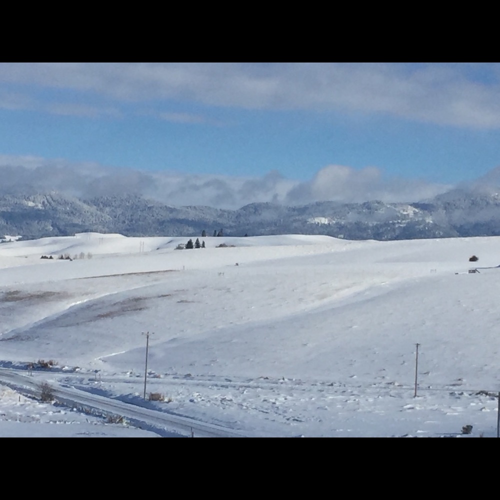 Meet your Posher, Andrew