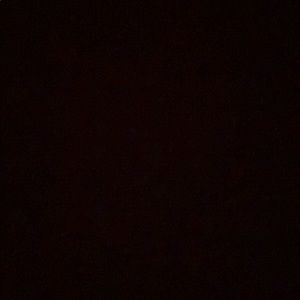 Meet your Posher, Noah