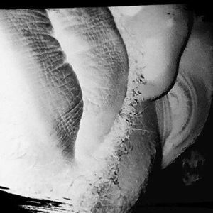 Meet your Posher, Kendrick