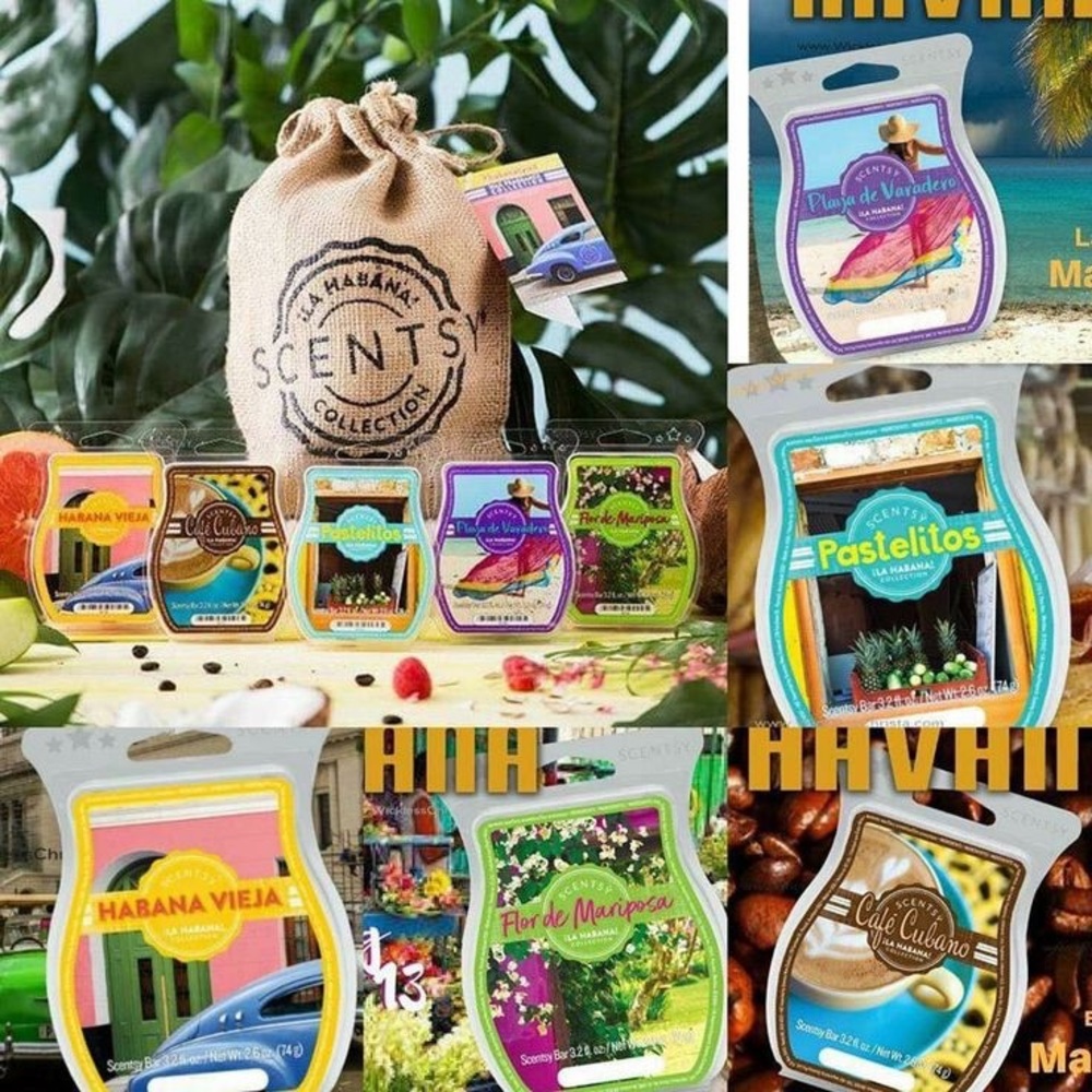 Scentsy wax