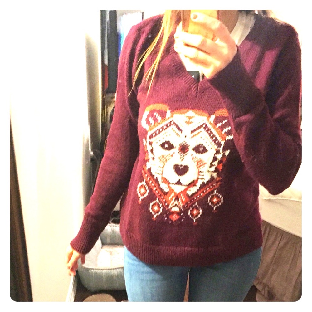 Hollister Sweater