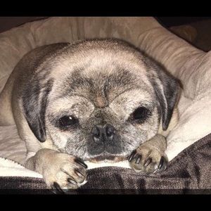 Meet your Posher, Denise