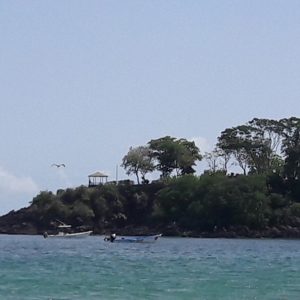 Meet your Posher, Nailaja