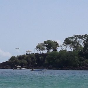 Meet your Posher, Nailaja