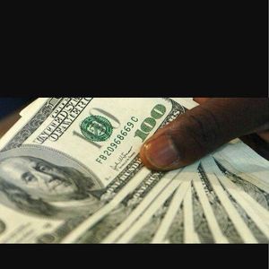 Meet your Posher, Wyatt