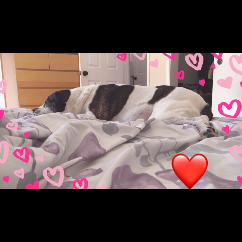 Meet your Posher, Poopak