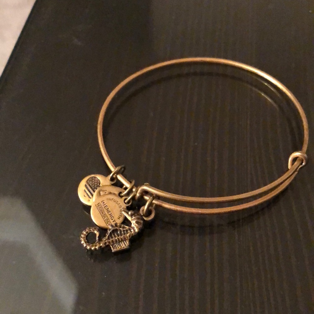 Alex and ani seahorse