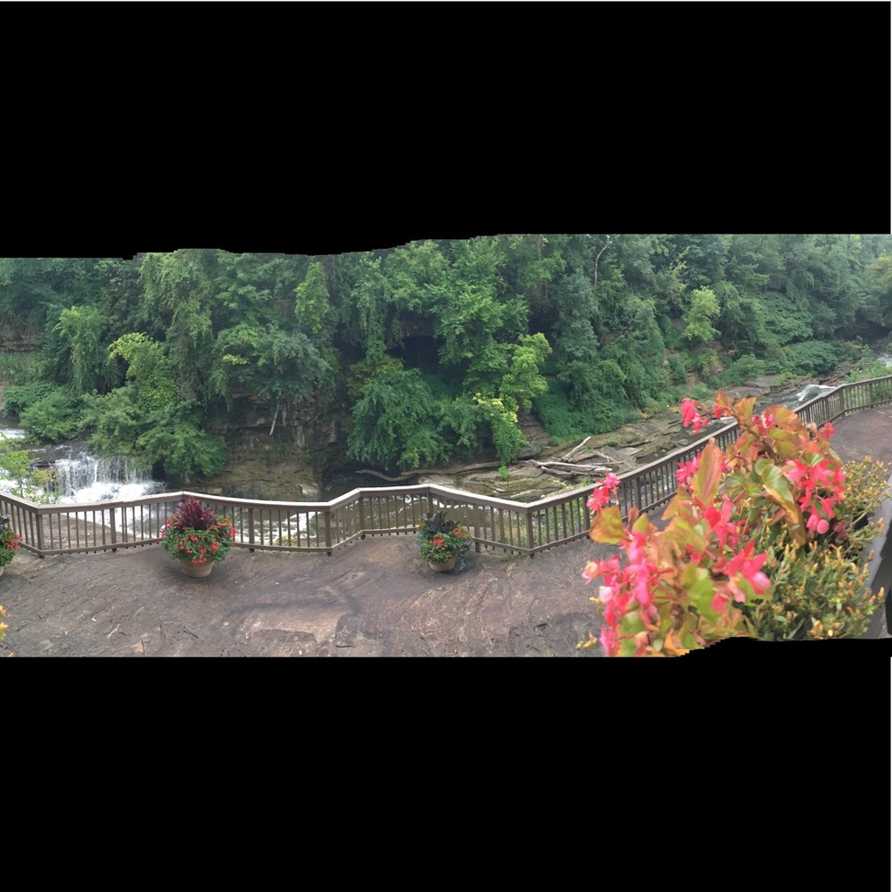 Meet your Posher, Jon