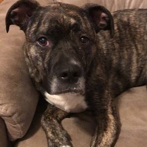 Meet your Posher, Abbie