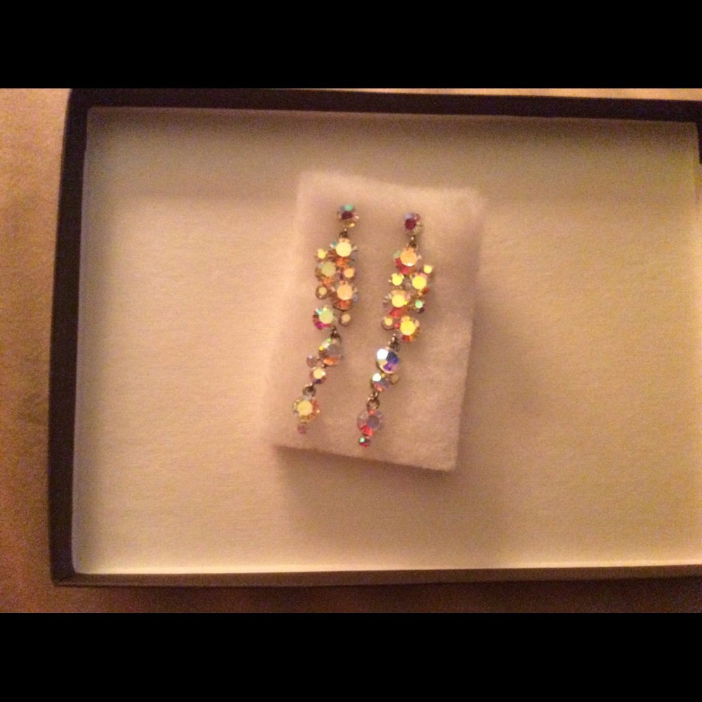 Iridescent Dangle Earrings
