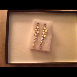 Iridescent Dangle Earrings