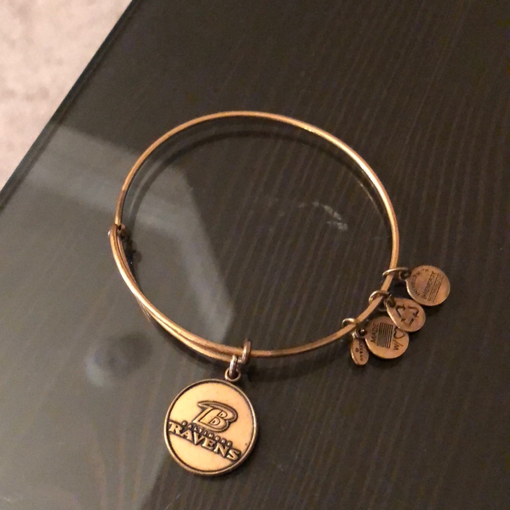 Alex and ani ravens