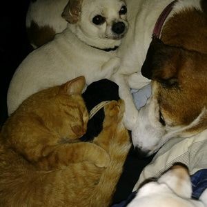 Meet your Posher, Debbie