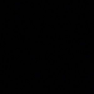 Meet your Posher, Steve