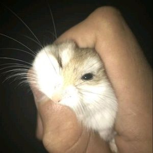 Meet your Posher, Christopher