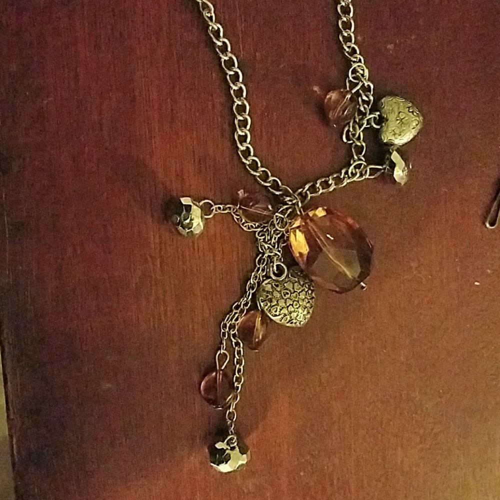 Paparazzi necklace and earring set