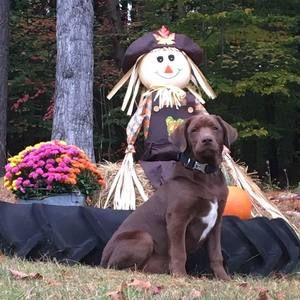 Meet your Posher, Sandra