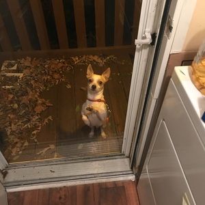 Meet your Posher, Isaac